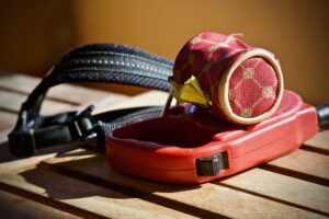 WVU student starts braked dog leash company